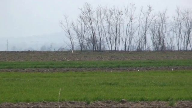 529. Serbia. (35) 10 ч. 07 мин. эпаньол бретон смотреть онлайн