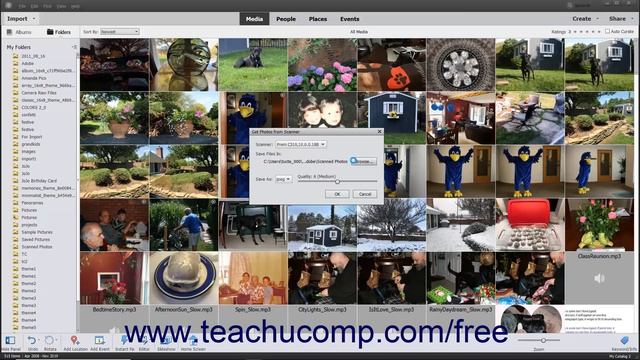 Learn How to Import Photos from a Scanner in Adobe Photoshop Elements 2022: A Training Tutorial смотреть онлайн