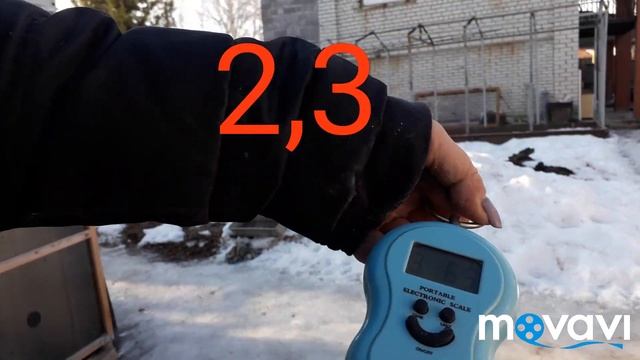 Кролики. Сравним вес чистопородных Белых Великанов и от Фландера в 2 месяца. Понос у кролика . смотреть онлайн