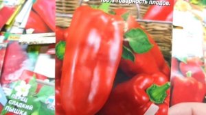 КАКОЙ ПЕРЕЦ ВЫБРАТЬ? СОРТ СИБИРСКИЙ КНЯЗЬ. ОБЗОР Ольги Черновой.