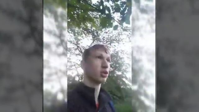 Какие категорий собак есть любой породы есть Познавательное видео смотреть онлайн
