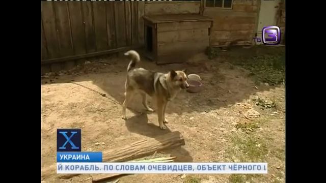 Немного о $Чупакабре смотреть онлайн