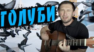 Голуби Ляпис в ютуб.mp4
