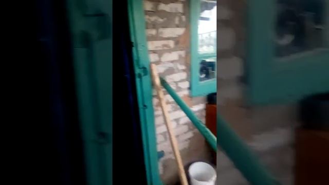 Правильная штукатурка пичи смотреть онлайн