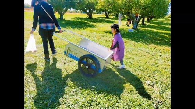 Pumpkin Picking| Apple Picking in Cleveland, Ohio | Frozen Anna dress up | Halloween pumpkin hunt смотреть онлайн