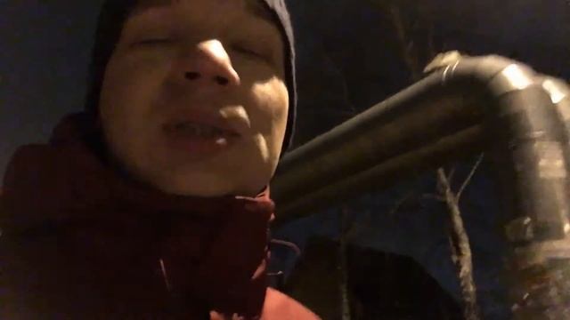 Чау Чау и прогрулка с собакой в 6 утра! смотреть онлайн