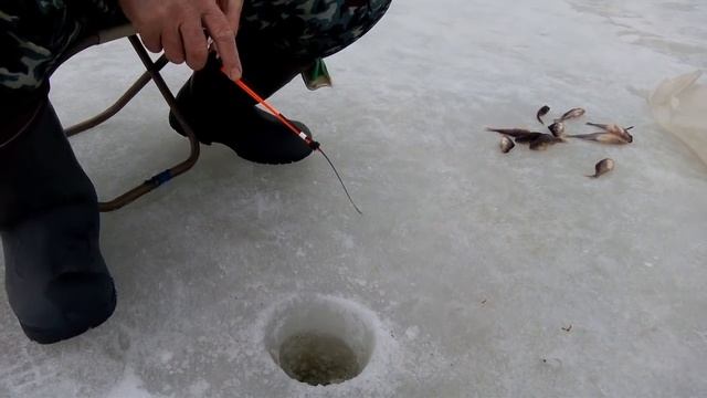 Королевский ёрш. смотреть онлайн