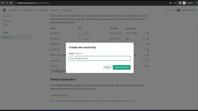 OpenAI ChatGPT with Python: Getting Started #1 смотреть онлайн