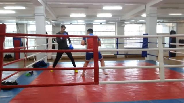 Мир бокса . Новосибирск . смотреть онлайн