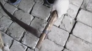 Как насадить косу. Коса литовка