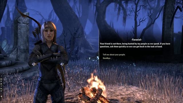 THE ELDER SCROLLS ONLINE Walkthrough | Part 135 | Into the Woods | ESO Gameplay смотреть онлайн