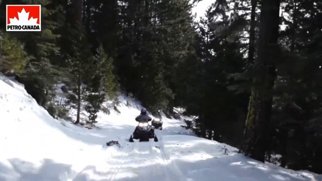 Моторное масло Petro-Canada Snowmobile. смотреть онлайн