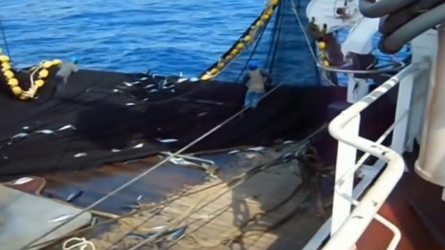 Самое Продвинутое Рыболовное (Судно)1000 тонн Улова,Чистая Рыбалка в Море смотреть онлайн