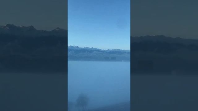 SAYRAN APARTMENT | ALMATY CITY | WINTER - Видовая Квартира в Алматы смотреть онлайн