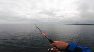 КЕТА на ТАСМАН | Выходной + Рыбалка