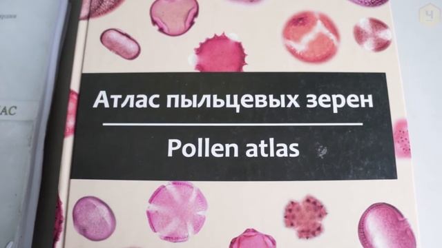 О статусе нашей лаборатории и проблемах пыльцевого анализа смотреть онлайн