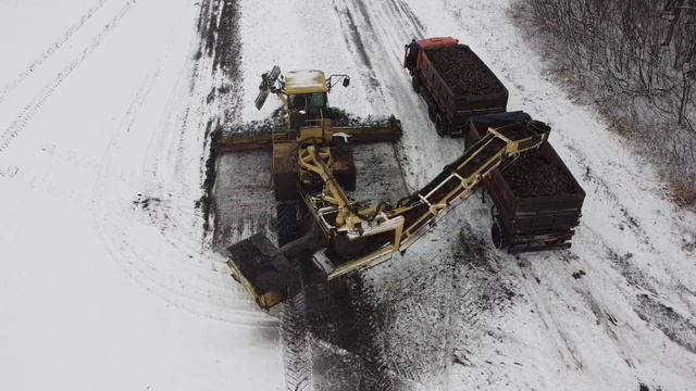 Сахарная свекла 2020, Ropa Maus, K700. смотреть онлайн