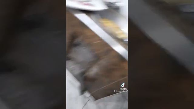 Шурпа из баранина