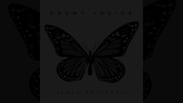 Black Butterfly