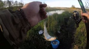 Очень успешный способ ловли - мормышка на летней удочке.