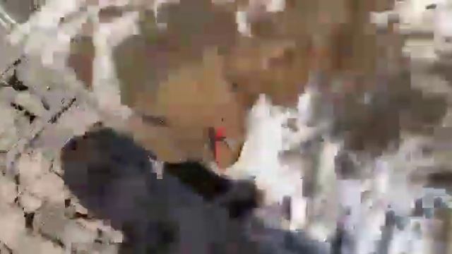 Фабрика габионов Surkov