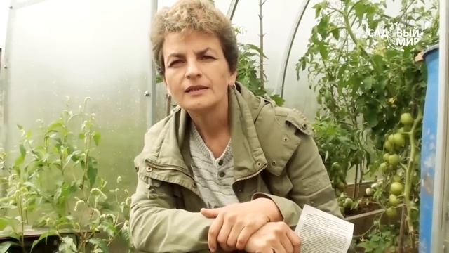 Защита растений в теплице от насекомых вредителей Табачная дымовая шашка Гефест2 смотреть онлайн