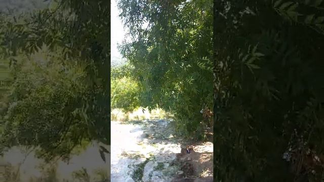 Бесстыжие ванны. Пятигорск. смотреть онлайн