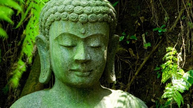 Buddha's Flute: Awakening | Music For Meditation & Zen
