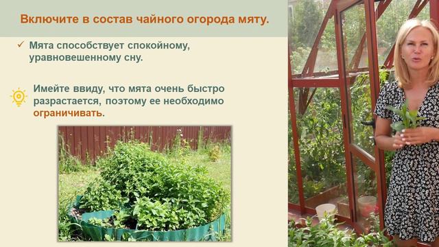 Urok-24.cajno-aptekarskij-ogorod - смотреть видео онлайн от «channel36597164» в хорошем качестве, оп