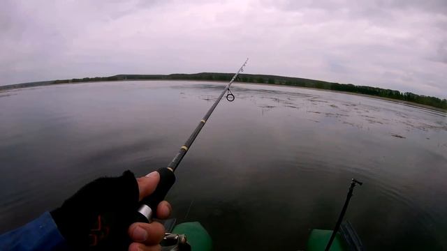 ОКУНИ - ГОРБАЧИ НА ВОБЛЕРЫ | OSP RUDRA | СУПЕР КЛЕВ !!!