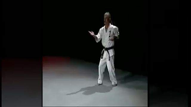 Shinyu Gushi performs kata Kanshu смотреть онлайн