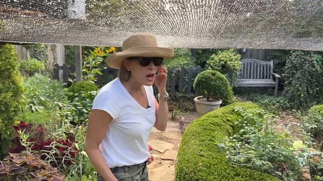 DIY Install Amazon Garden Shade Tarp смотреть онлайн