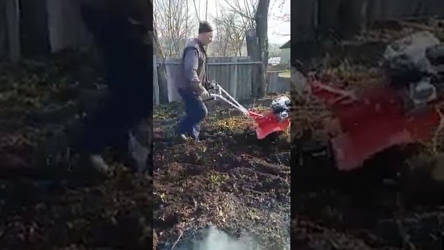 Мотоблок Брайт-105 первый опыт смотреть онлайн