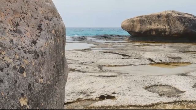 Каспийское море – это уникальная экологическая система смотреть онлайн