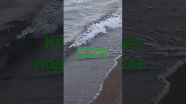 и снова Седая Ночь и волны 🌊 хлещут смотреть онлайн