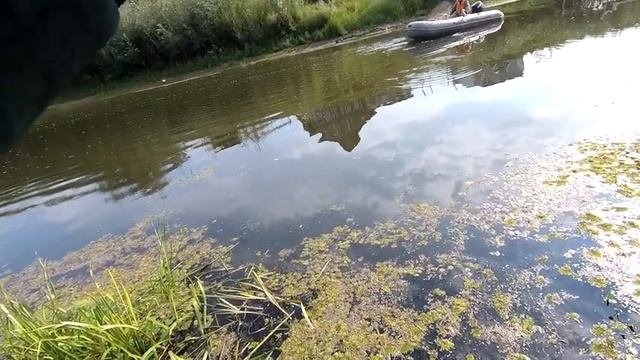 СОРЕВНОВАНИЯ на Осовце и Оке. Микроджиг и мормышинг. Организатор VK Подсекакй 52. смотреть онлайн