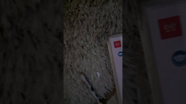 уроки казак смотреть онлайн