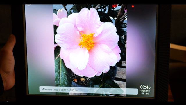 Unboxing, Setup, First Impressions of the Benibela 17" Picture Frame смотреть онлайн