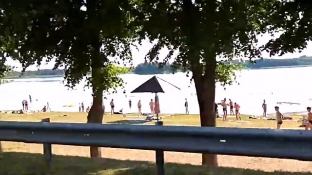 Должа Витебск