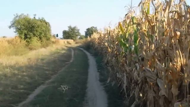 Samsung ST 65 Video Test All In One