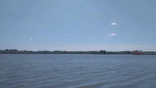кумженская роща, дон(4) смотреть онлайн