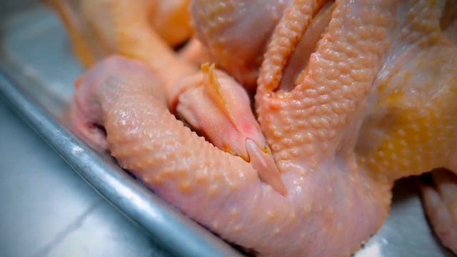 Комедийные Шоу и Скетчи