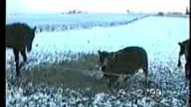 Любовь зла! смотреть онлайн