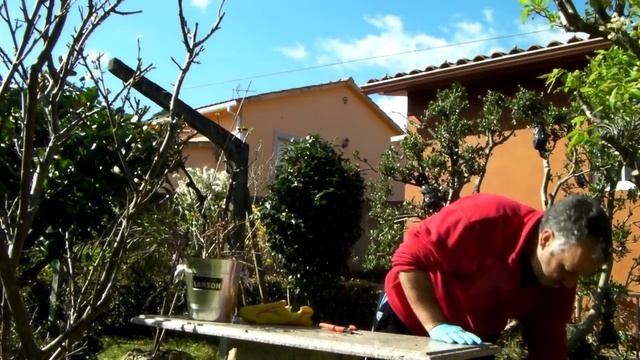 Callistemon citrinus acodos mas acodos de granado primavera 2015 смотреть онлайн