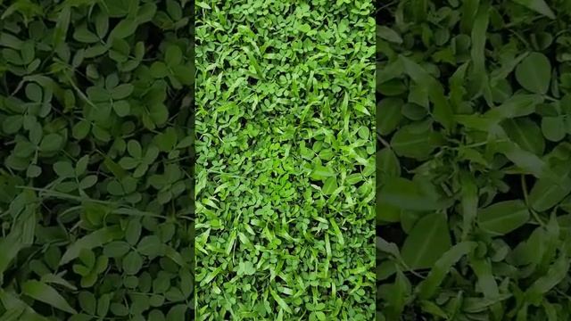 Найди телефон! тест камеры и дисплея Samsung Galaxy S22 Ultra