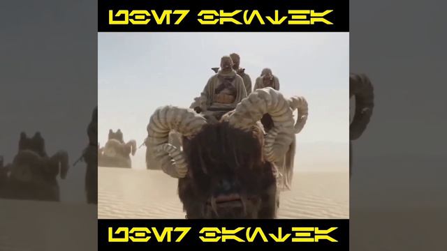 Dogs Advice If You're Stranded in the Desert смотреть онлайн