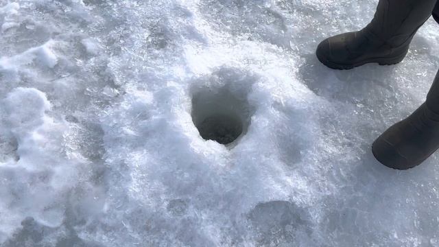 Четыре хвоста с одной лунки, пять в зачете смотреть онлайн