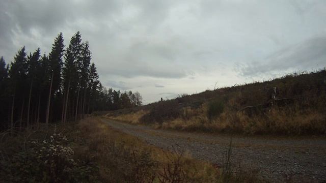 Honda Varadero 125 Soundcheck смотреть онлайн