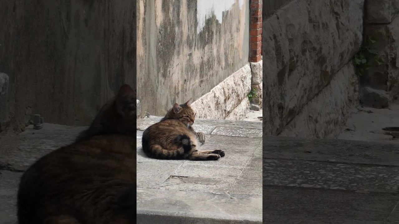 Dubrovnik – in the footsteps of the Game of Thrones. Побывали на родине 2cellos смотреть онлайн