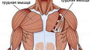 Немеют пальцы рук. Почему и что делать.